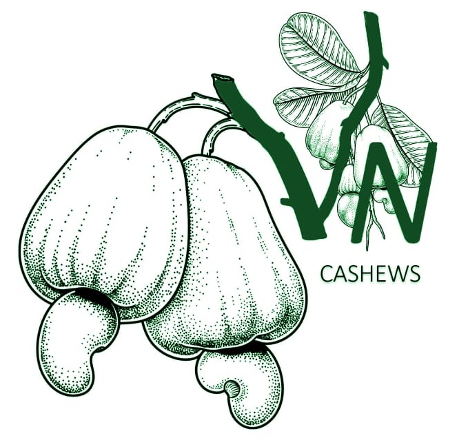 Vaithiyanathan Cashews Logo