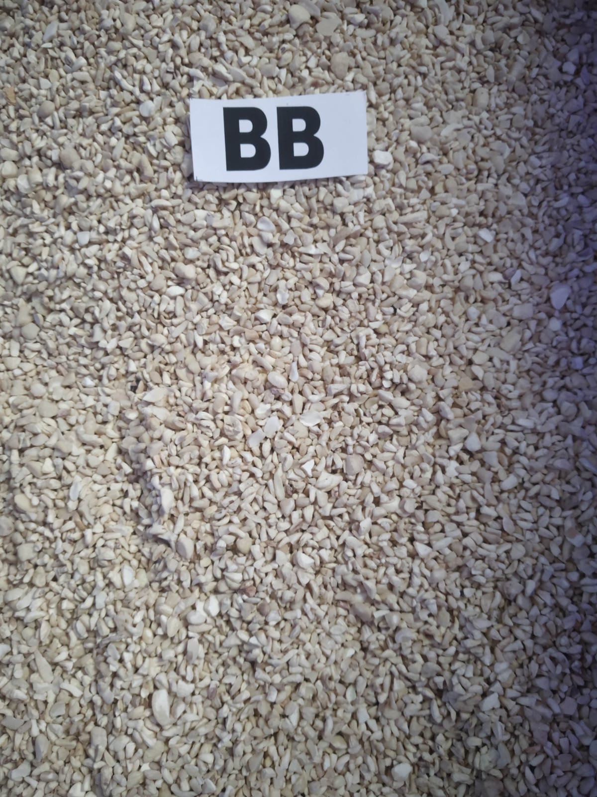 BB